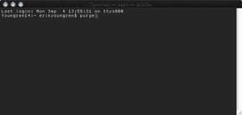Terminal — bash — 80×24.png