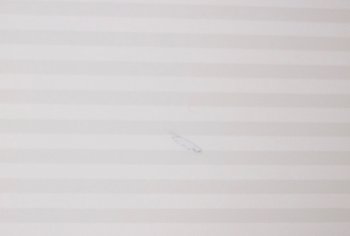 APC_0037.jpg