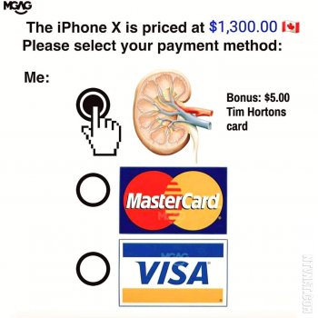 FB_IMG_1506093808816.jpg