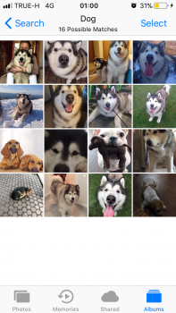A7C20337-F9D8-4160-8D00-7C9A725DB8BB.png