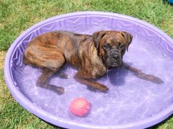 kane pool 3.jpg