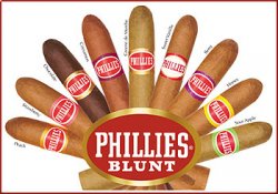 PhilliesBluntRbow.jpg