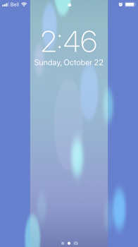 IMG_2870.png