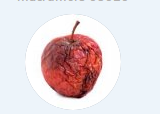 j2.png