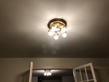 E320C259-5C92-4444-AA2C-191391E6D032.jpeg