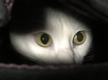 IMG_5123.JPG IMG_5123.JPG