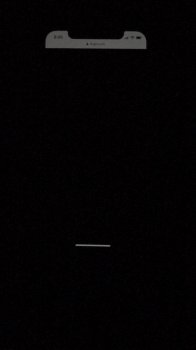 F1384927-C983-4FA1-9D9B-40114E4AD328.jpeg