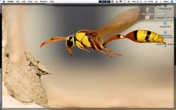 Jukly desktop.jpg