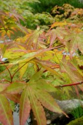 DSC03749.jpg