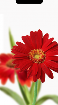 D8384367-75B5-48DE-B411-59EE12A5EC4B.png