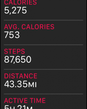 STEPS.png