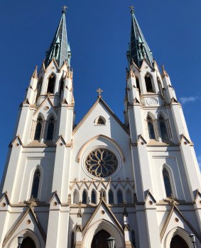 IMG_2493.jpg