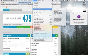 Safari Tech Preview 45.jpg