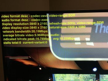 TV.jpg