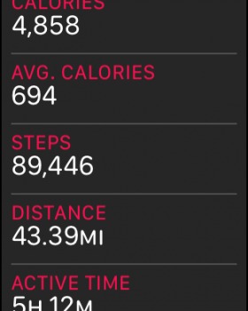 steps.png