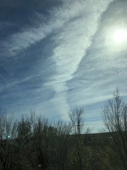 CFB9D9B8-D264-4C98-943B-3D01671612D9.jpeg