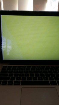 25520735_1717300411624442_860268410_o.jpg