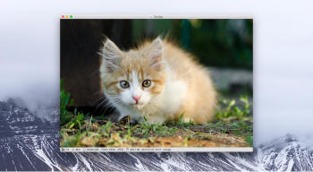 xee-screenshot-01@2x.png