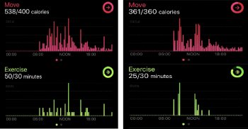 Exercise Ring.jpg
