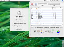 Snapshot 2007-07-13 15-06-17.jpg