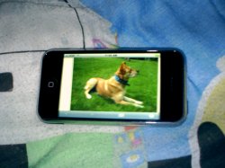 PICT0066.JPG