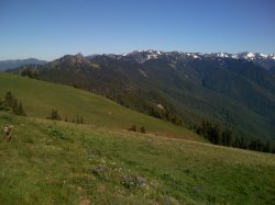 IMG_0321.JPG