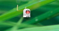 Picture 2.png