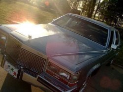 caddy.jpg