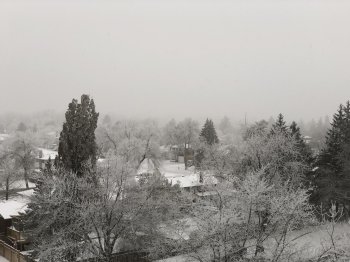 48WxpNoQRTSltp+g75NdwQ.jpg
