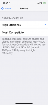 IMG_6454.PNG
