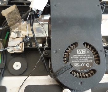 Fan 2&3.jpg