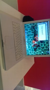 IMG-20180218-WA0014.jpeg