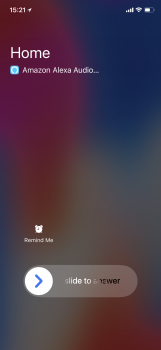 Alexa ringing.PNG