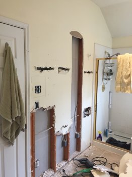 Bath Remodel Day 1 Testing the Waters.sm.jpg
