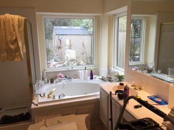 Original Bath Tub Shower.sm.jpg