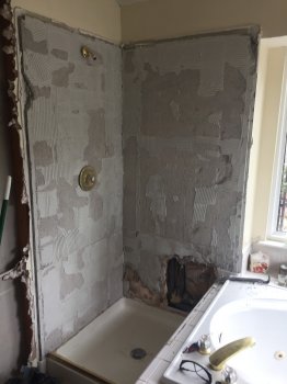 Day 3 Shower Remove 1.sm.jpg