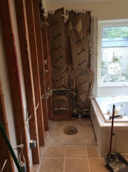 Shower Removed.sm.jpg