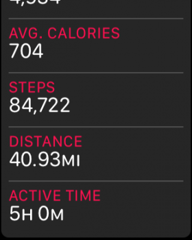 steps.PNG