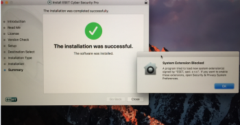 ESET System Extension.png
