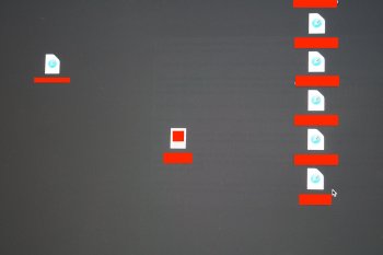 VS_00477a.jpg