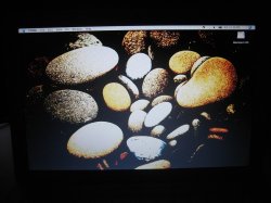 IMG_0177.JPG