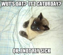 wutsdatitzcaturdayokinogz6.jpg
