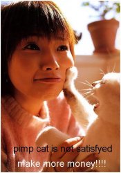 pimpcat.jpg