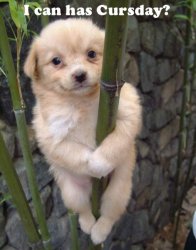 Cursday.jpg