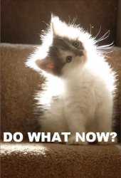 dowhatnow.jpg