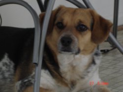 DSC00021.JPG