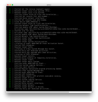 qemu-debian9.png
