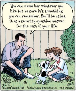 password1.jpg