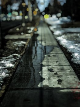 C3927F64-86E1-408D-A668-15E42AC49651.jpeg