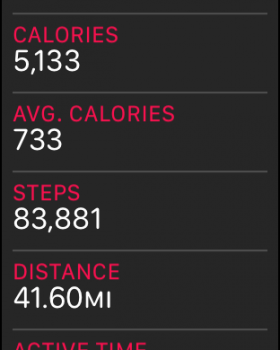 steps.png
